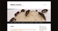 Desktop Screenshot of mathieu-lihoreau.com